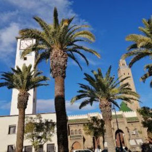 Meet your Posher, Mohammed